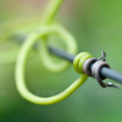 信息轰炸在线使用免费