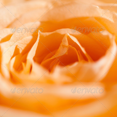 在线轰炸网页版